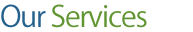 absolute kleen services