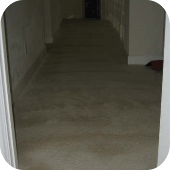 absolute kleen after