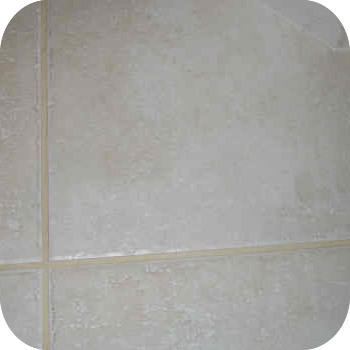 absolute kleen after