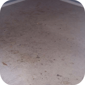 absolute kleen before
