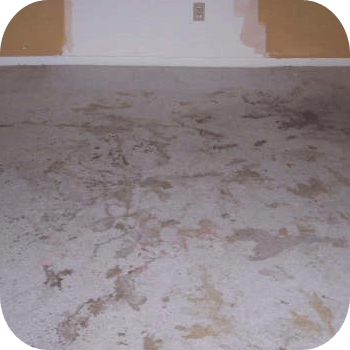 absolute kleen before