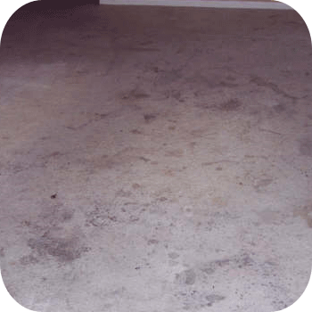 absolute kleen before