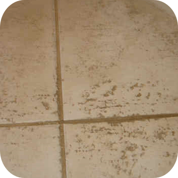 absolute kleen before