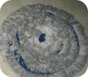 low moisture (vlm) carpet cleaning servicess cypress